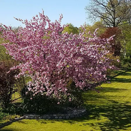 Ferienwohnung Seevetal Apartamento Seevetal